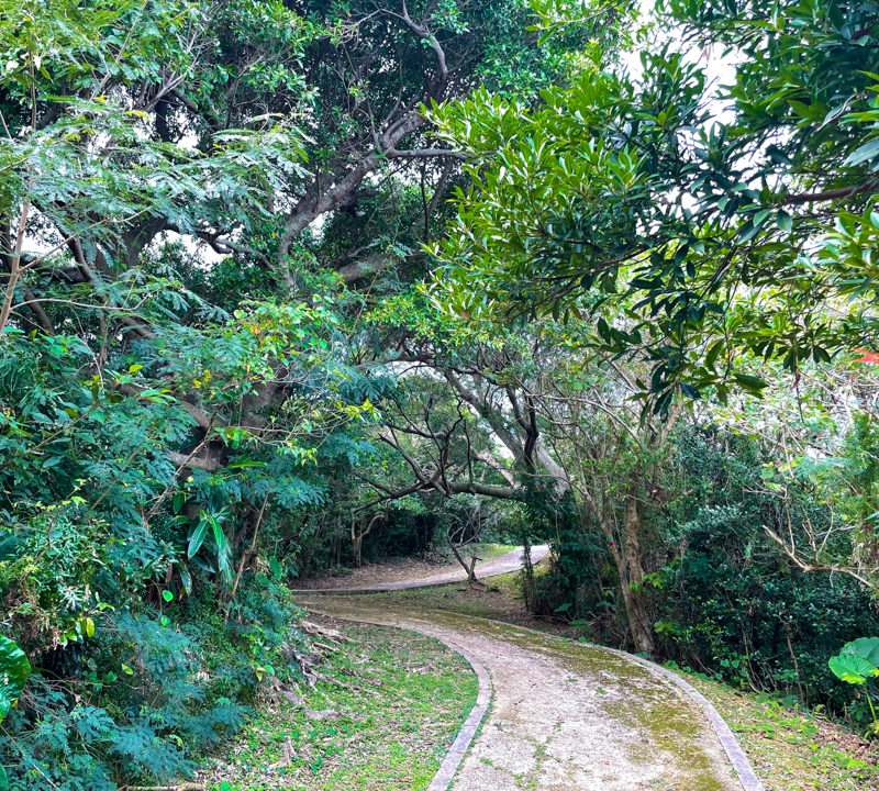 沖縄フォトウェディング（野鳥の森自然公園）