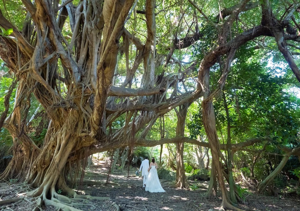沖縄県うるま市にある浜比嘉島の東の御嶽(シヌグ堂)でのブライダルフォト