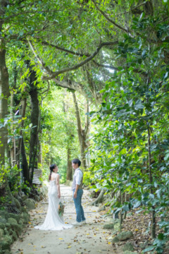 沖縄でのフォトウェディング(フクギ並木)