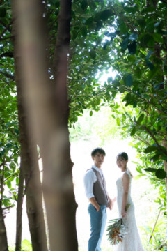 沖縄でのフォトウェディング(フクギ並木)