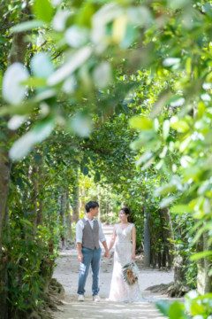 沖縄でのフォトウェディング(フクギ並木)