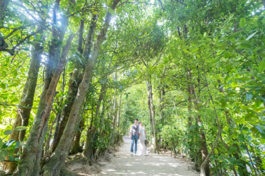 沖縄でのフォトウェディング(フクギ並木)
