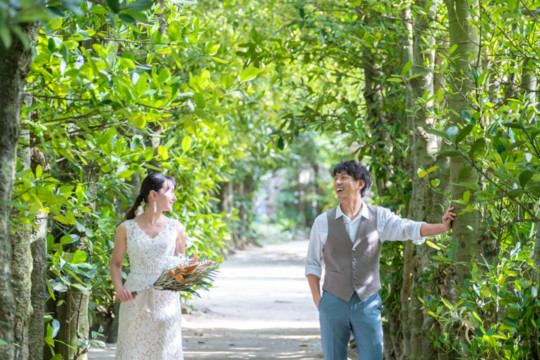 沖縄でのフォトウェディング(フクギ並木)