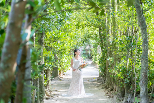沖縄でのフォトウェディング(フクギ並木)