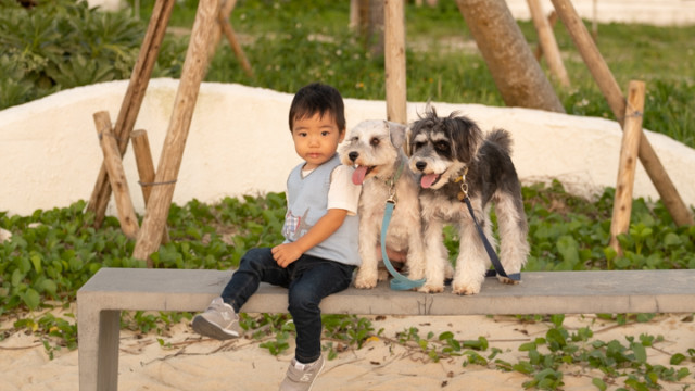 沖縄でのビーチファミリーフォト(サンセット)