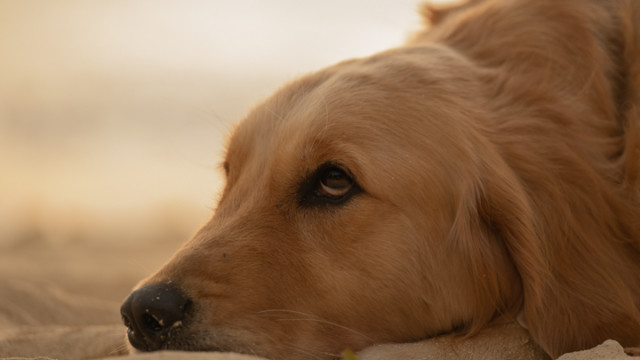 沖縄フォトウェディングのビーチフォト(サンセットイメージ)