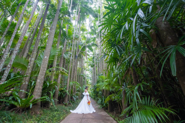 沖縄フォトウェディング(東南植物楽園)
