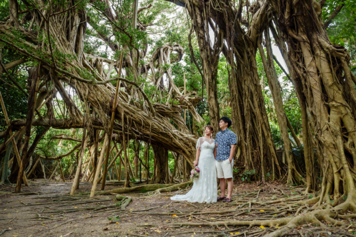 沖縄フォトウェディング(浜比嘉島のガジュマルの木の森)