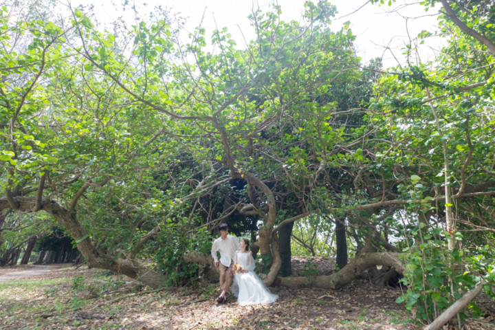 沖縄フォトウェディング(緑)