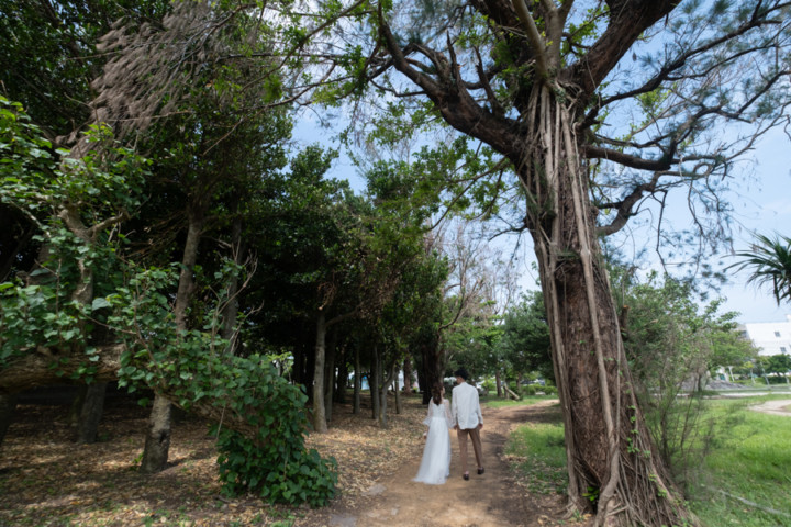 沖縄フォトウェディング(緑)
