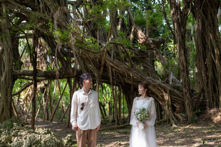 沖縄フォトウェディング(ガジュマル)